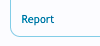 Report_Link.png