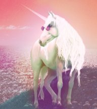 Overlord Pony