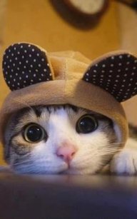 LilMouse