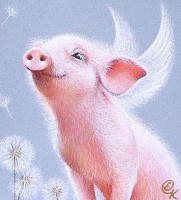 Pigboy