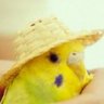 Rumham