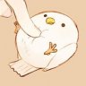 Piyo