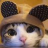 LilMouse