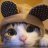LilMouse