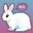 BunnyTheRoo
