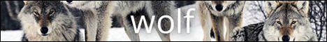Wolf - Wolf is a semi-realistic wolf role-playing game focused on three principles: simple, casual, fun.