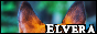 Elvera - Multi-Species Canine RP