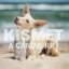 Kismet - A Tropical Canine RP