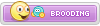 Brooding